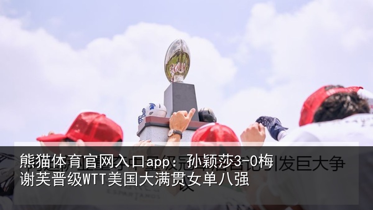 熊猫体育官网入口app：孙颖相关情况单八强