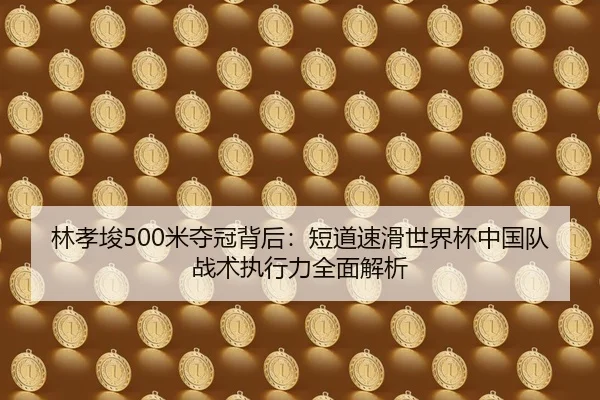 lin-xiao-jun-mi-duo-guan-bei-hou-duan-dao-su-hua-shi-jie-bei-zhong-guo-dui-zhan-shu-zhi-xing-li-quan-mian-jie-xi-2-541.jpg