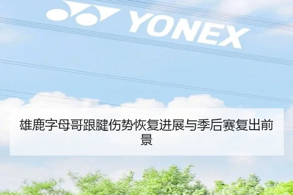 雄鹿字母哥跟腱伤势恢复进展与季后赛复出前景